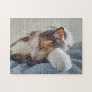 Puzzle Calico Cat 