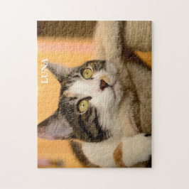 Puzzle Calico de gato