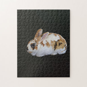 Puzzle Calico Rabbit