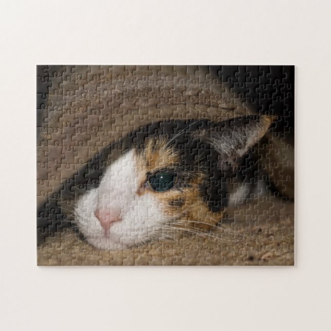Puzzle Calico Taco (Horizontal)