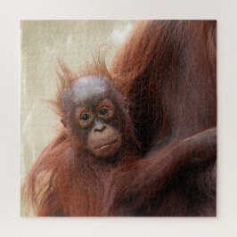 Puzzle Cálido - El Adorable Bebé Orangutan