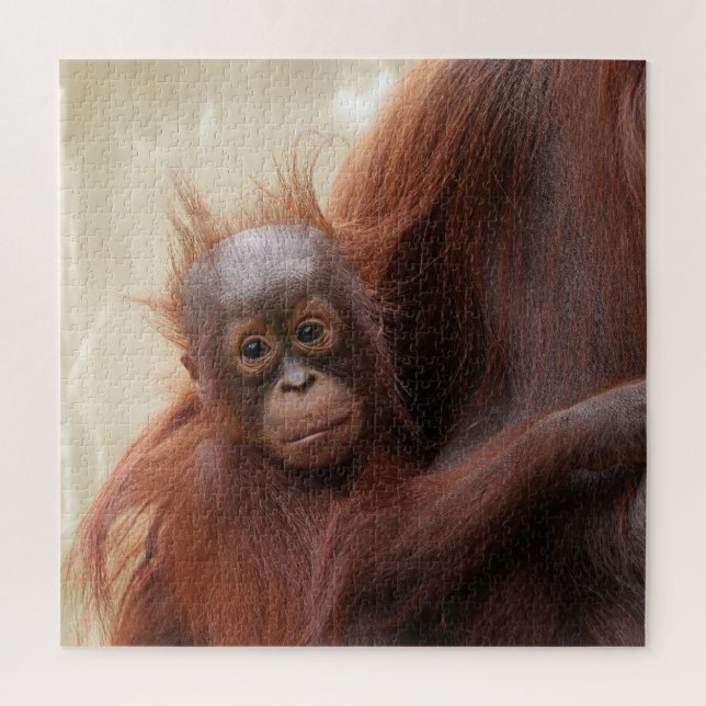 Puzzle Cálido - El Adorable Bebé Orangutan (Vertical)