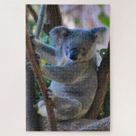 Puzzle Cálido koala australiana