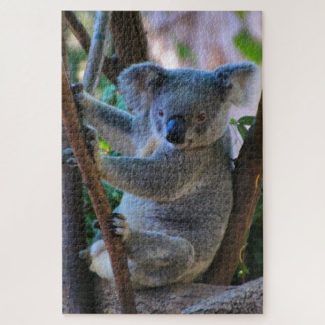 Puzzle Cálido koala australiana (Vertical)