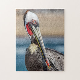 Puzzle California Brown Pelican, foto Bella Artes,