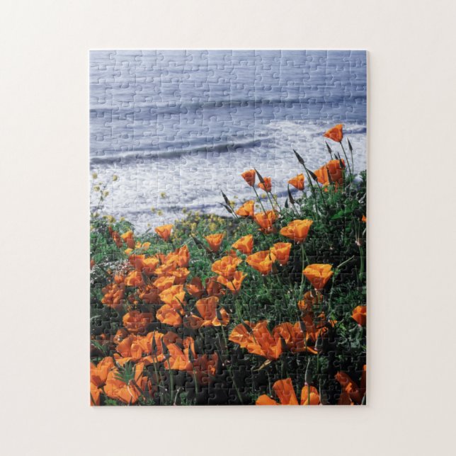 Puzzle California, Costa Big Sur, California Poppy (Vertical)