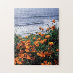 Puzzle California, Costa de Big Sur, Amapola de Californi