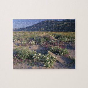 Puzzle California, Desierto Anza-Borrego SP, Arena