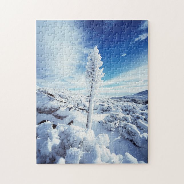 Puzzle California, Parque Estatal del Desierto de Anza Bo (Vertical)