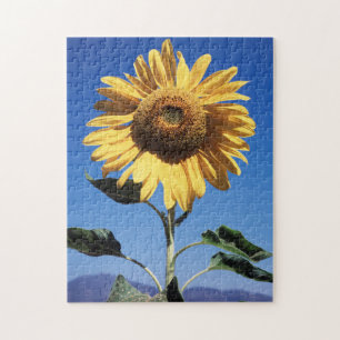 Puzzle California, Un Girasol Gigante (Helianthus) 3