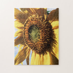 Puzzle California, un girasol mamut (Helianthus) 1