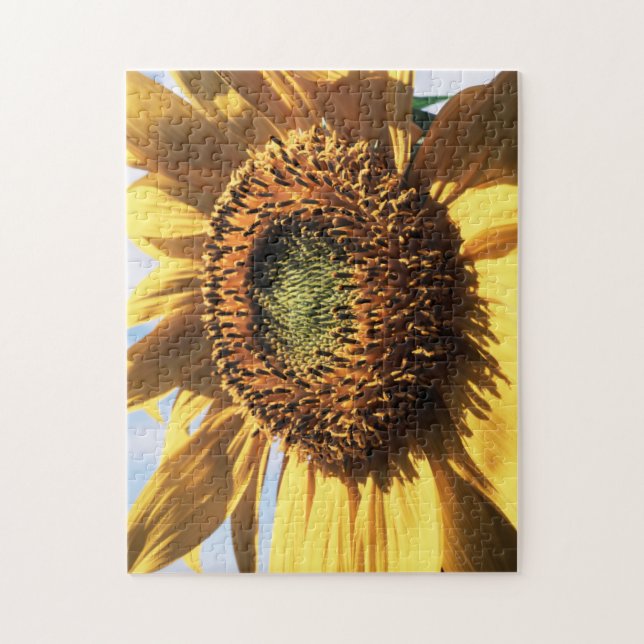Puzzle California, un girasol mamut (Helianthus) 1 (Vertical)