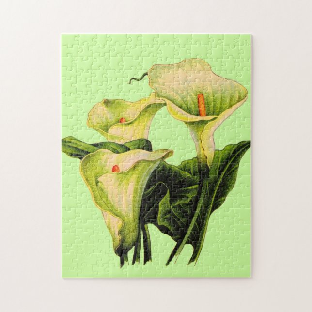 Puzzle calla lily calla lilies (Vertical)