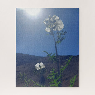 Puzzle Calma Matutina: Flor de Crema en Luz Transparente