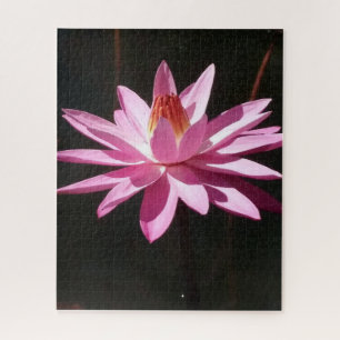 Puzzle Calma Matutina: Loto Rosa en Luz Natural Suave