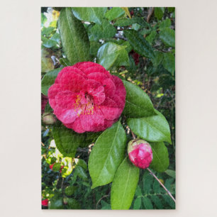 Puzzle Camelia Roja, Palo Alto