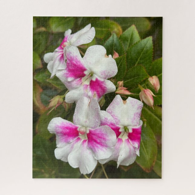 Puzzle Camelia Rosa Caliente, San Francisco (Vertical)