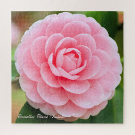 Puzzle Camellia: Otome-Tsubaki [rompecabezas cuadrado]