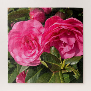 Puzzle Camellia rosa