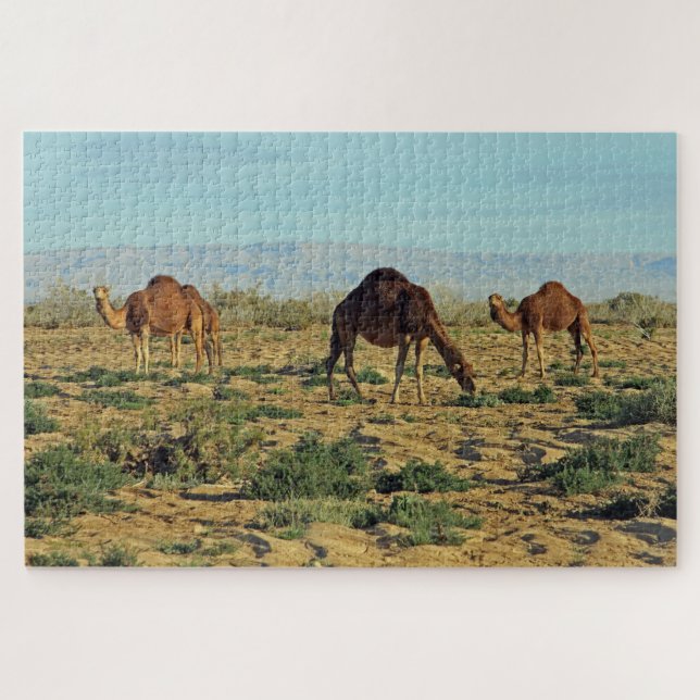 Puzzle Camellos, Túnez 1014-pc (Horizontal)