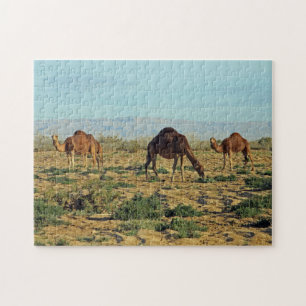 Puzzle Camellos, Túnez 252-pc