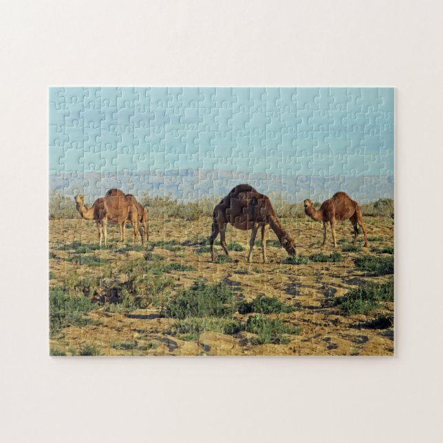 Puzzle Camellos, Túnez 252-pc (Horizontal)