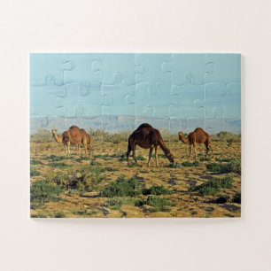 Puzzle Camellos, Túnez 30-