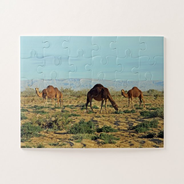Puzzle Camellos, Túnez 30- (Horizontal)
