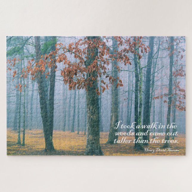 Puzzle Camina por el bosque - 20x30 - 1014 pcs. (Horizontal)