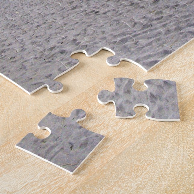 Puzzle Caminando a lo largo de la playa de Siesta Keys (Lado)