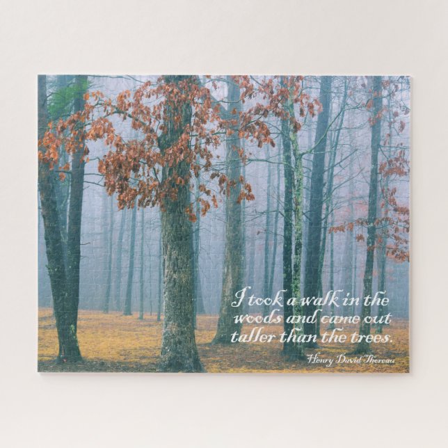 Puzzle Caminar en el Woods - 16x20 - 520 pcs. (Horizontal)