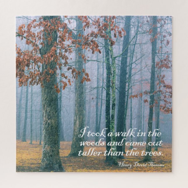 Puzzle Caminar en el Woods - 20x20 - 676 pcs. (Vertical)