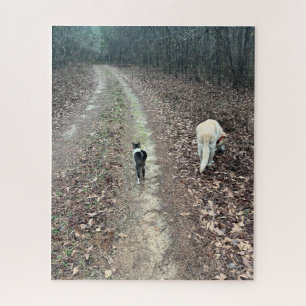Puzzle Caminata matutina
