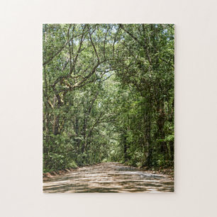 Puzzle Camino a Angel Oak