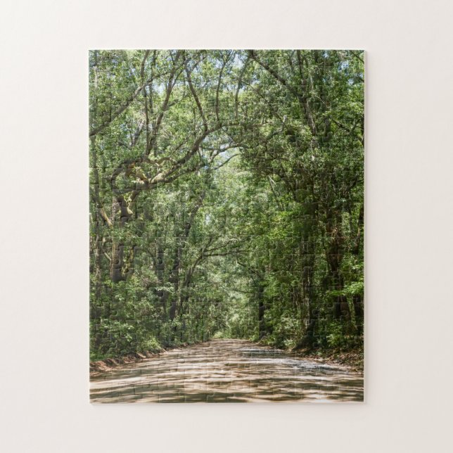 Puzzle Camino a Angel Oak (Vertical)