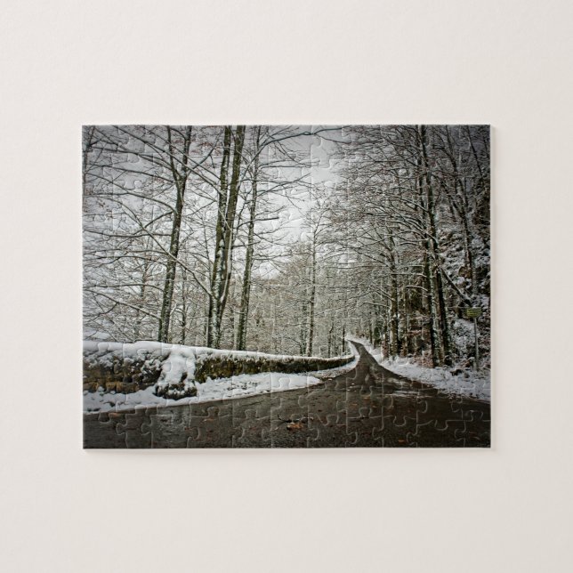 Puzzle Camino a Dreamland -Bosque alemán- 8x10 -110 pc (Horizontal)