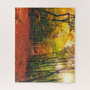 Puzzle Camino a través de los árboles en otoño