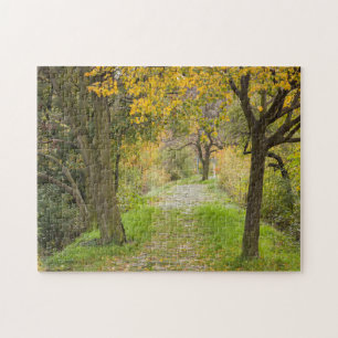 Puzzle Camino Arbolado en Otoño