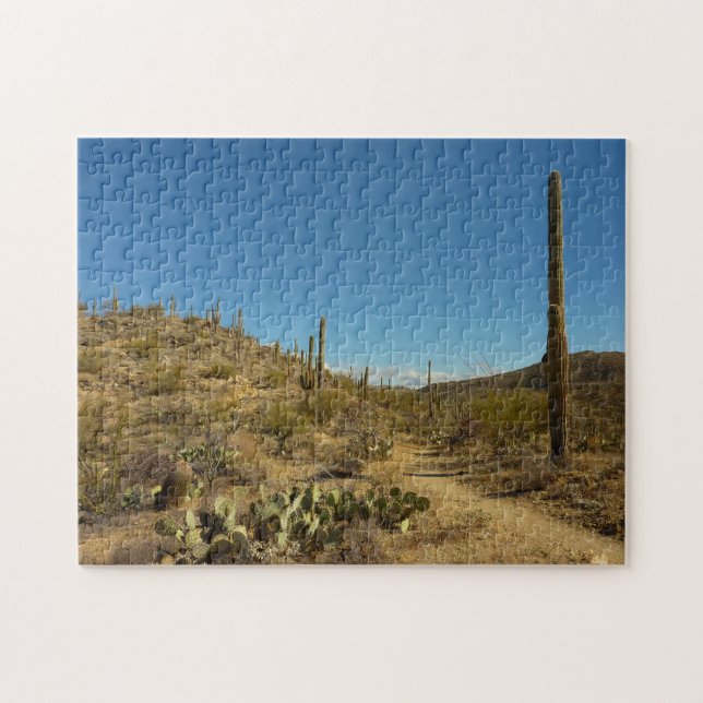 Puzzle Camino carillo de Saguaro en el Parque Nacional de (Horizontal)