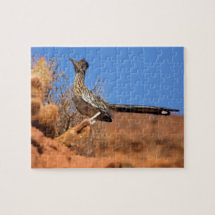 Puzzle Camino Mayor