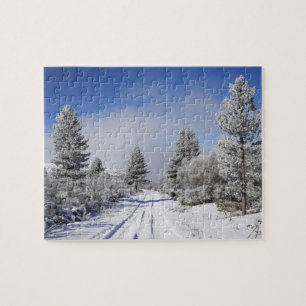 Puzzle Camino nevado y pinos, Cambrians, cerca de St