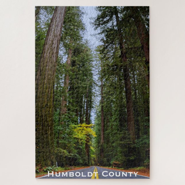 Puzzle Camino recto por el bosque de secuoya. (Vertical)