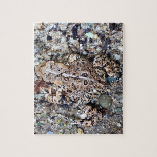 Puzzle Camoflouge Frog Toad Amphibian