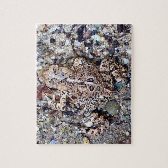 Puzzle Camoflouge Frog Toad Amphibian (Vertical)