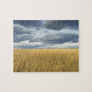 Puzzle Campo con las nubes de tormenta
