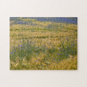 Puzzle Campo Cornflowers