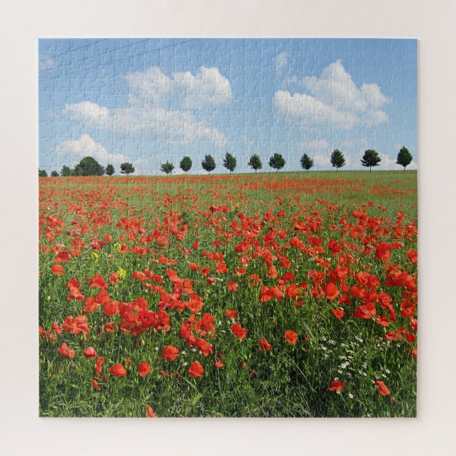 Puzzle Campo de amapola en flor (Vertical)