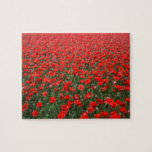 Campo de amapolas rojas