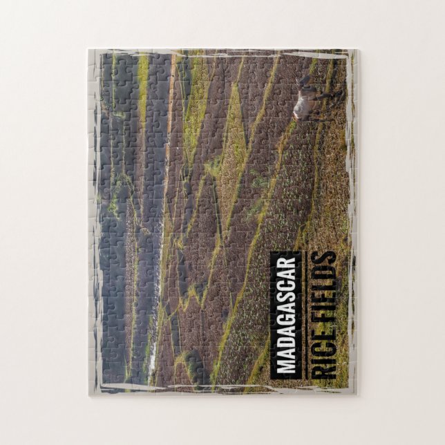 Puzzle Campo de arroz de Madagascar con cabra (Vertical)