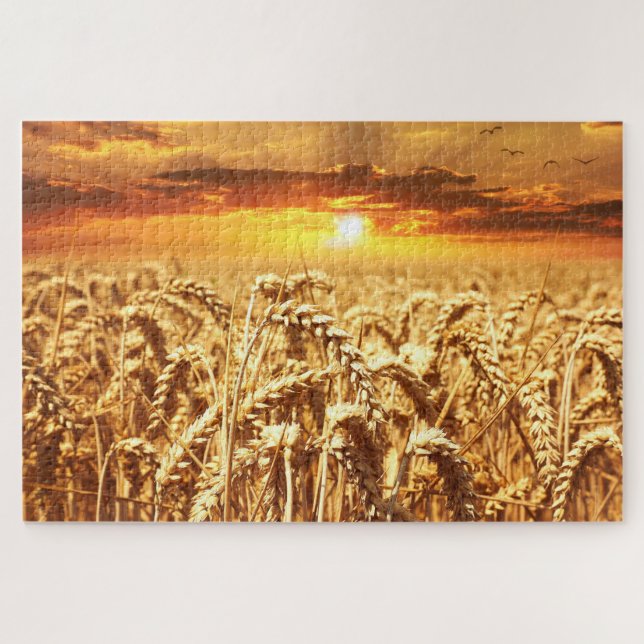 Puzzle Campo de atardecer y trigo (Horizontal)